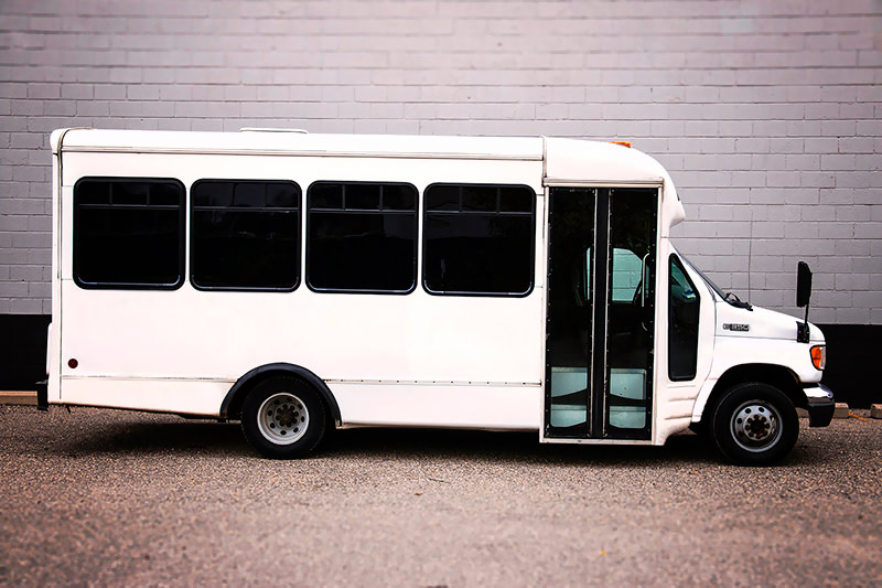 20 passenger party bus